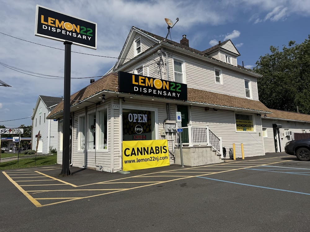Lemon 22 photo 4