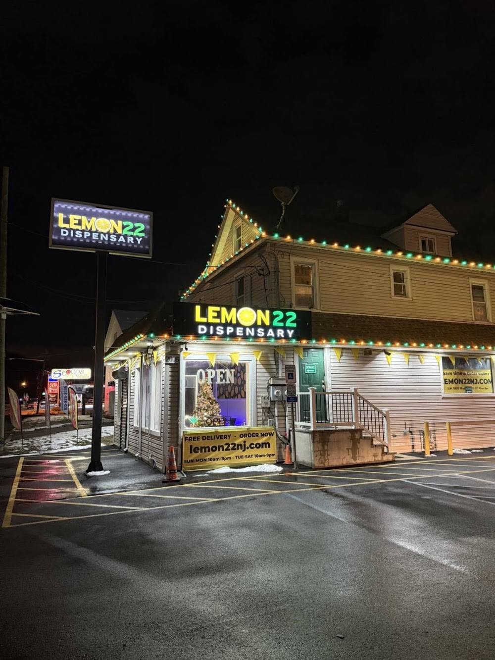 Lemon 22 photo 7