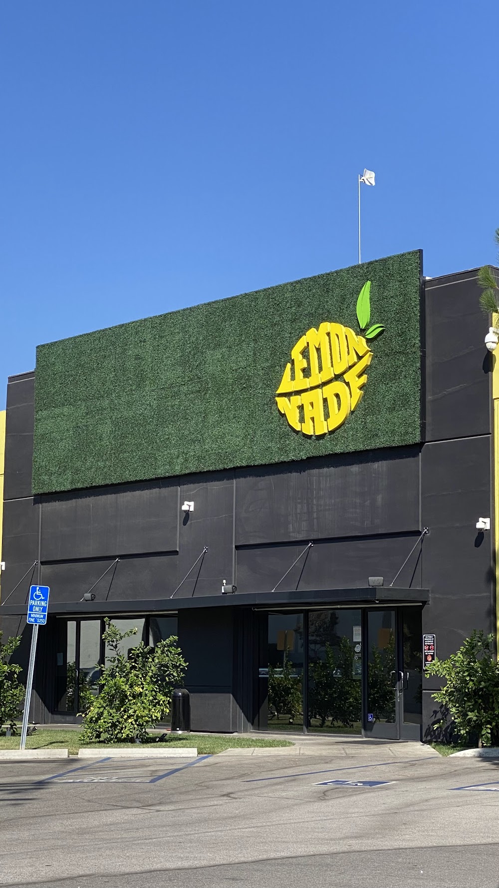 Lemonnade Pacoima photo 5