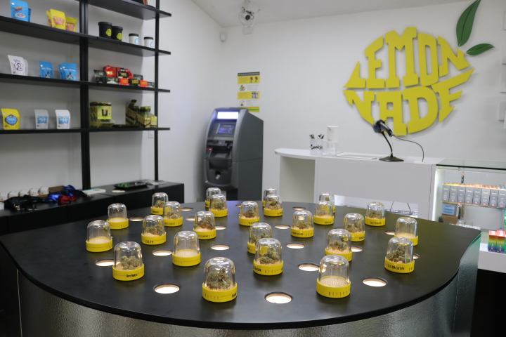 Lemonnade photo 2