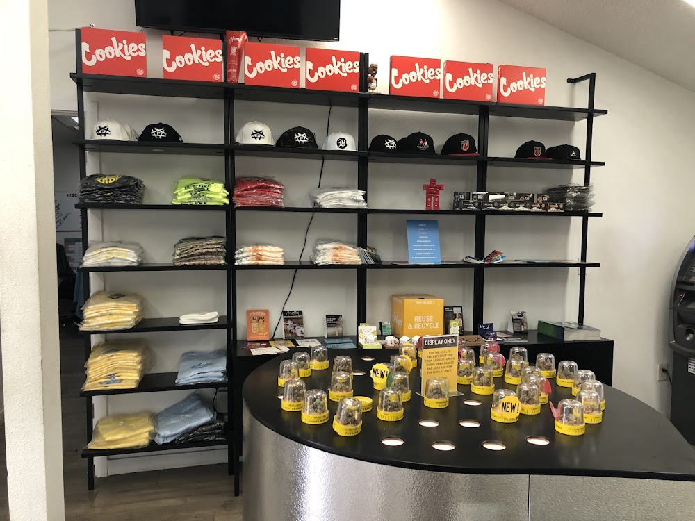 Lemonnade photo 4