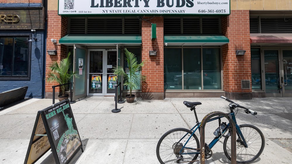 Liberty Buds photo 1