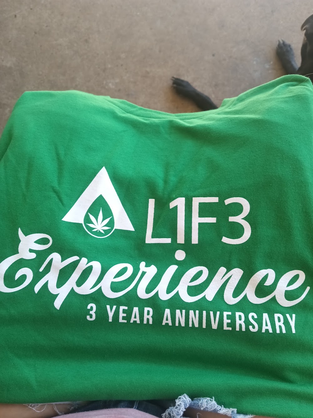 Life Experience photo 6
