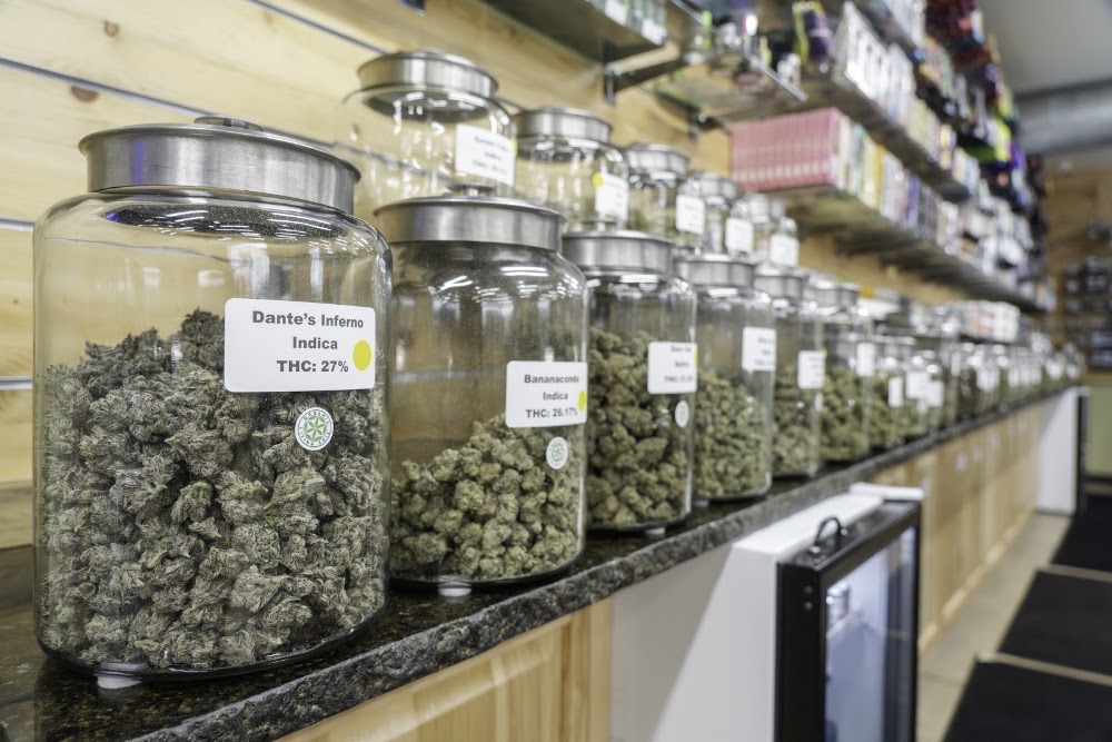 Life Flower Dispensary photo 5