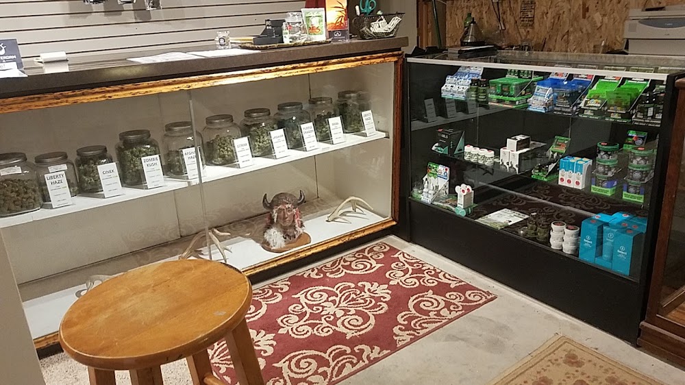 Lil Amsterdam Usa photo 6