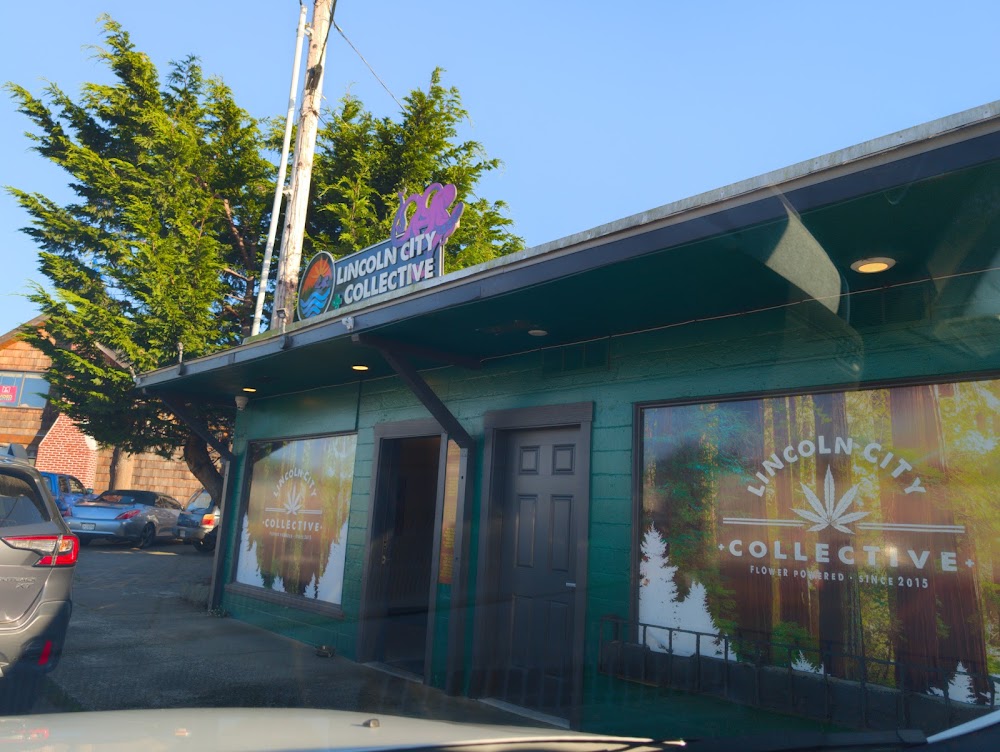 Lincoln City Collective photo 4