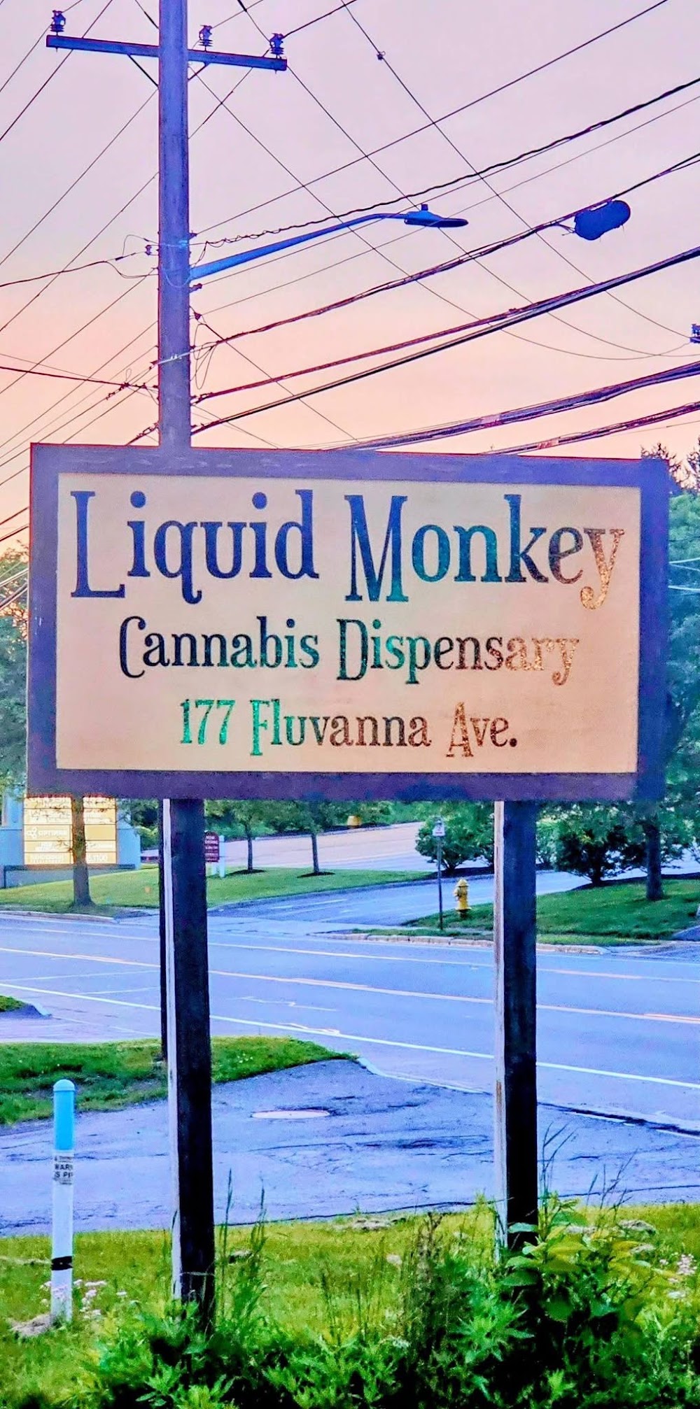 Liquid Monkey photo 2