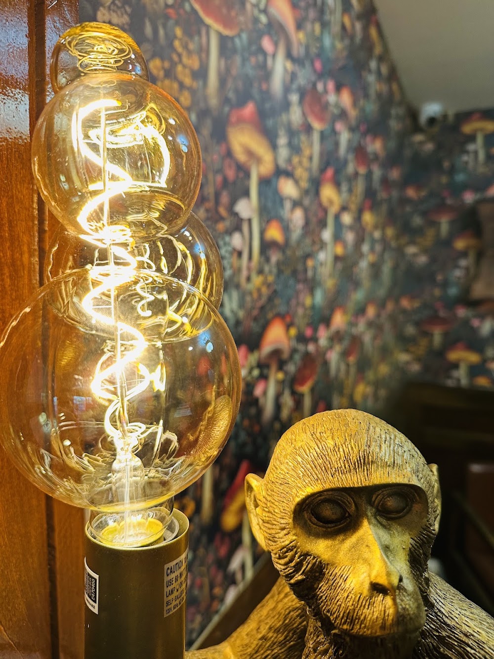 Liquid Monkey photo 7