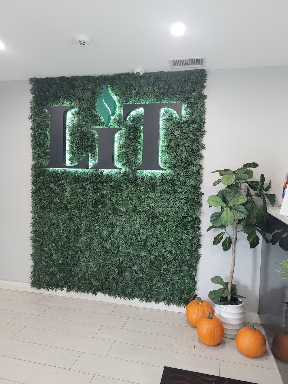 Lit La Mesa photo 5