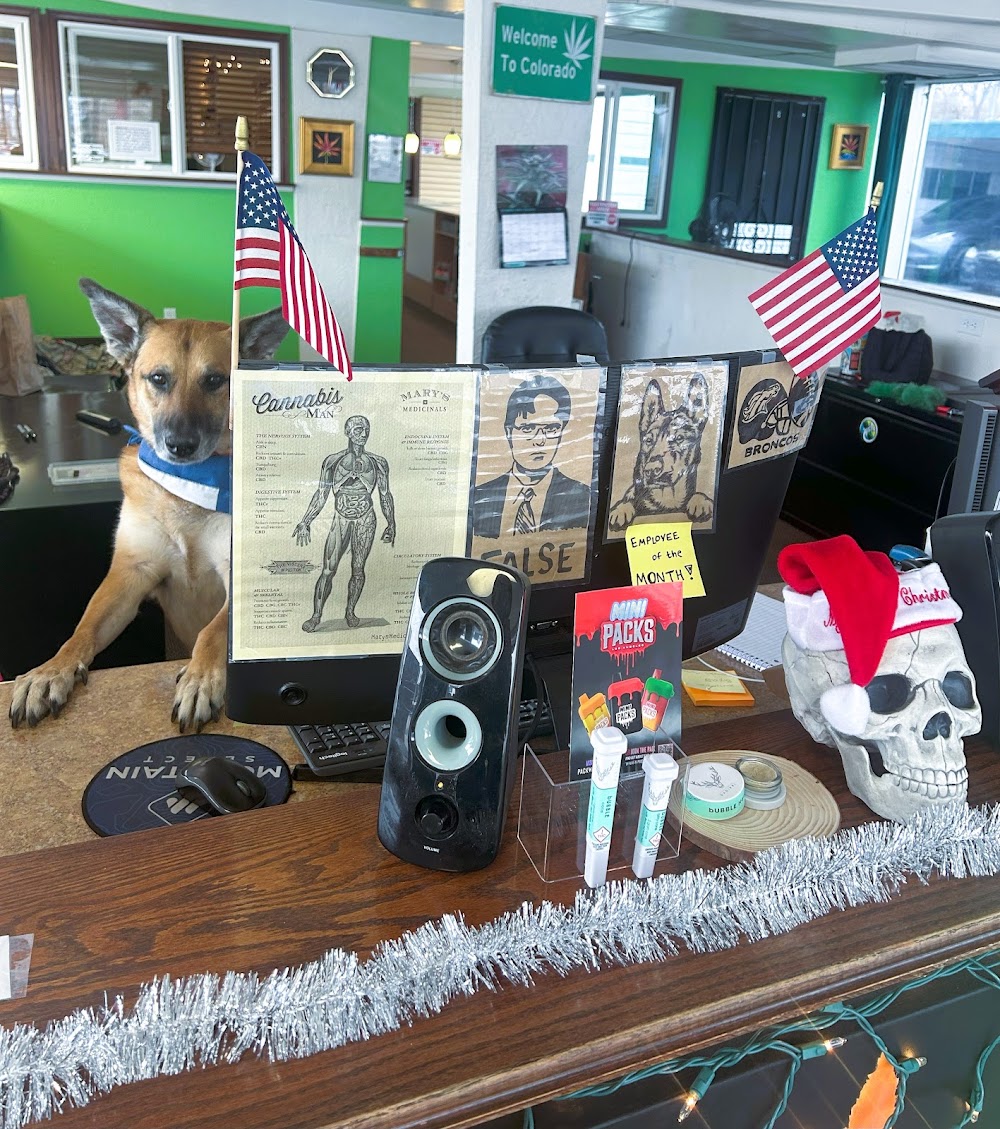 Little Green Pharmacy photo 5