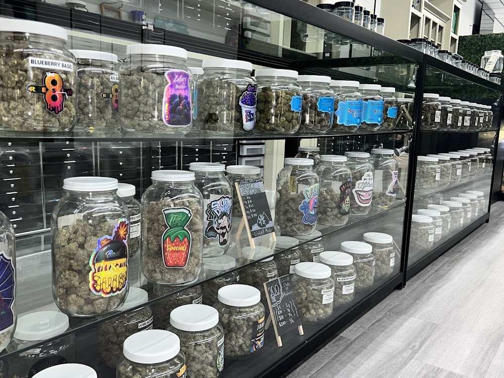 Livwell Meds Ardmore photo 6