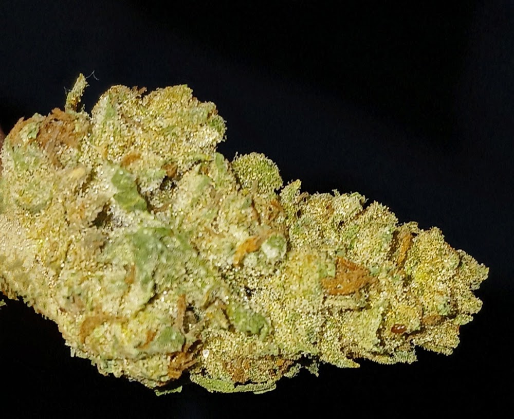 Livwell Meds Of Calera photo 3