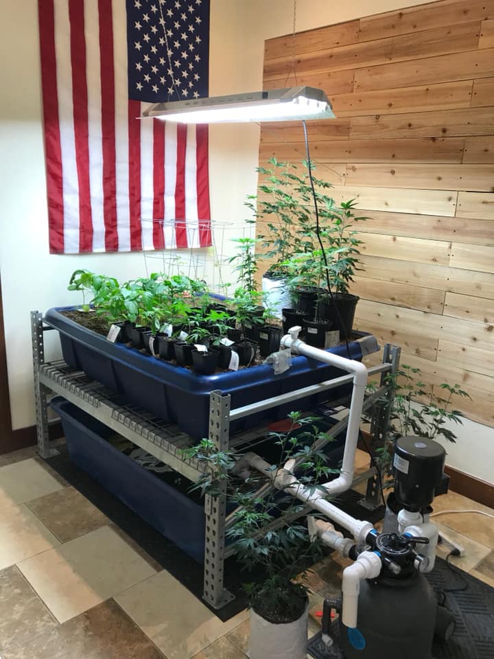 Livwell Meds photo 8
