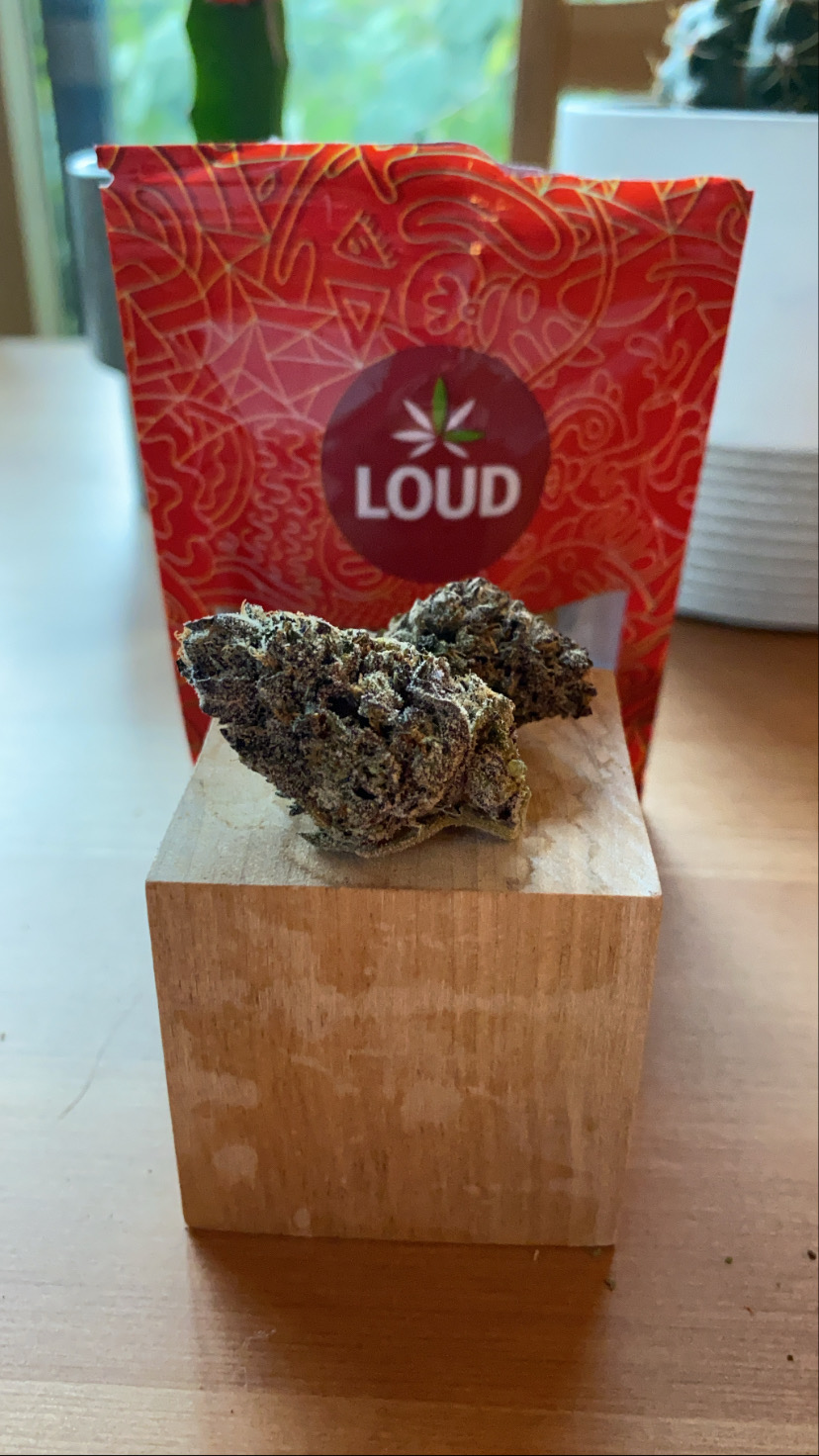 Local Amsterdam photo 7