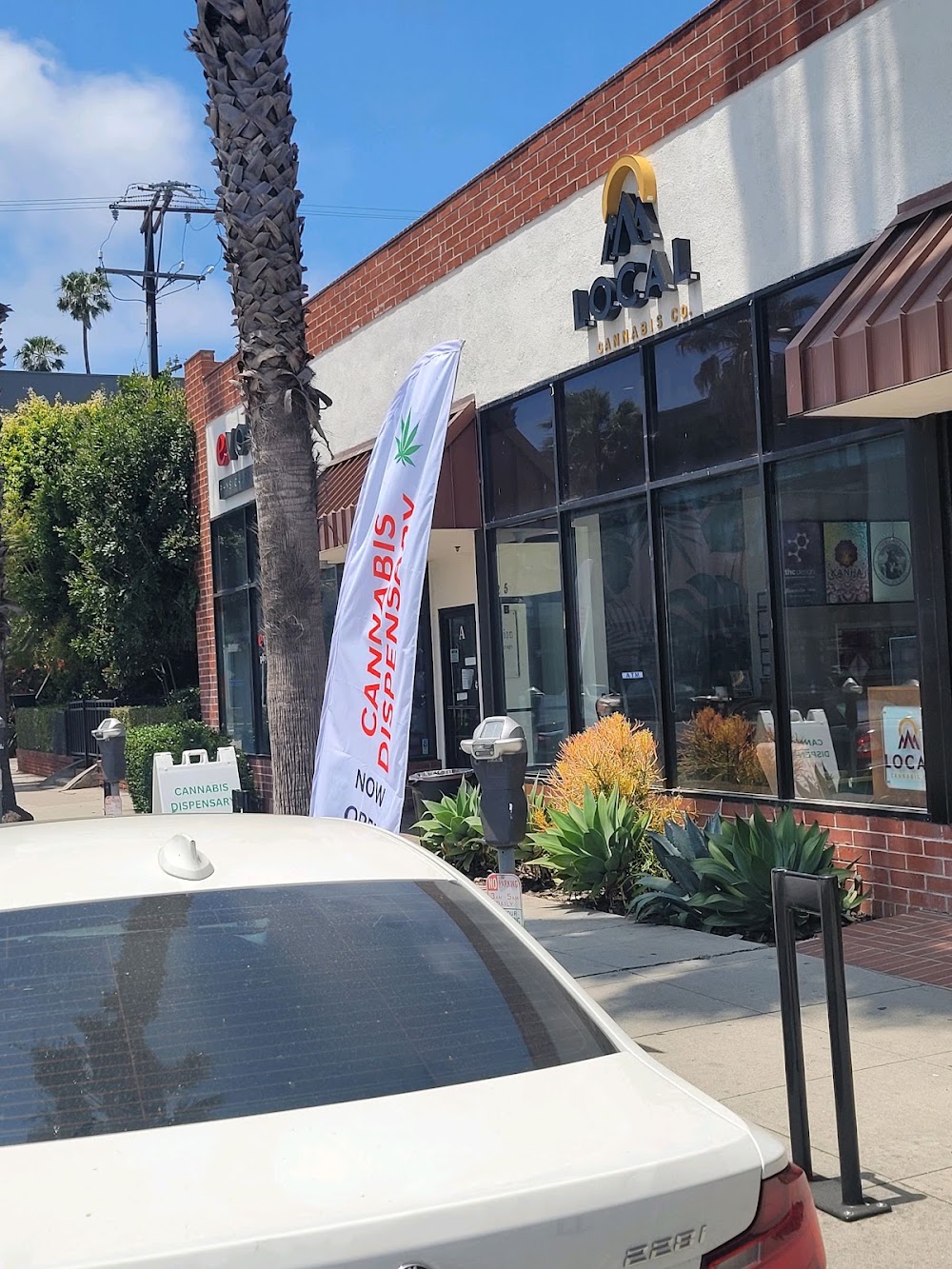 Local Cannabis Company photo 1