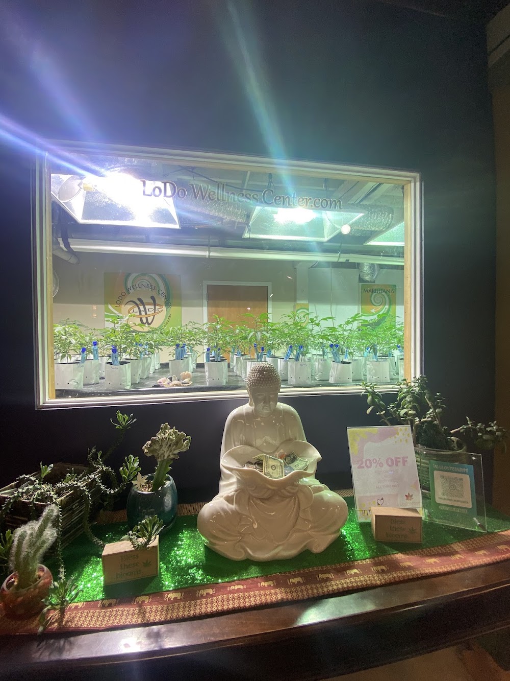 Lodo Wellness Center photo 7