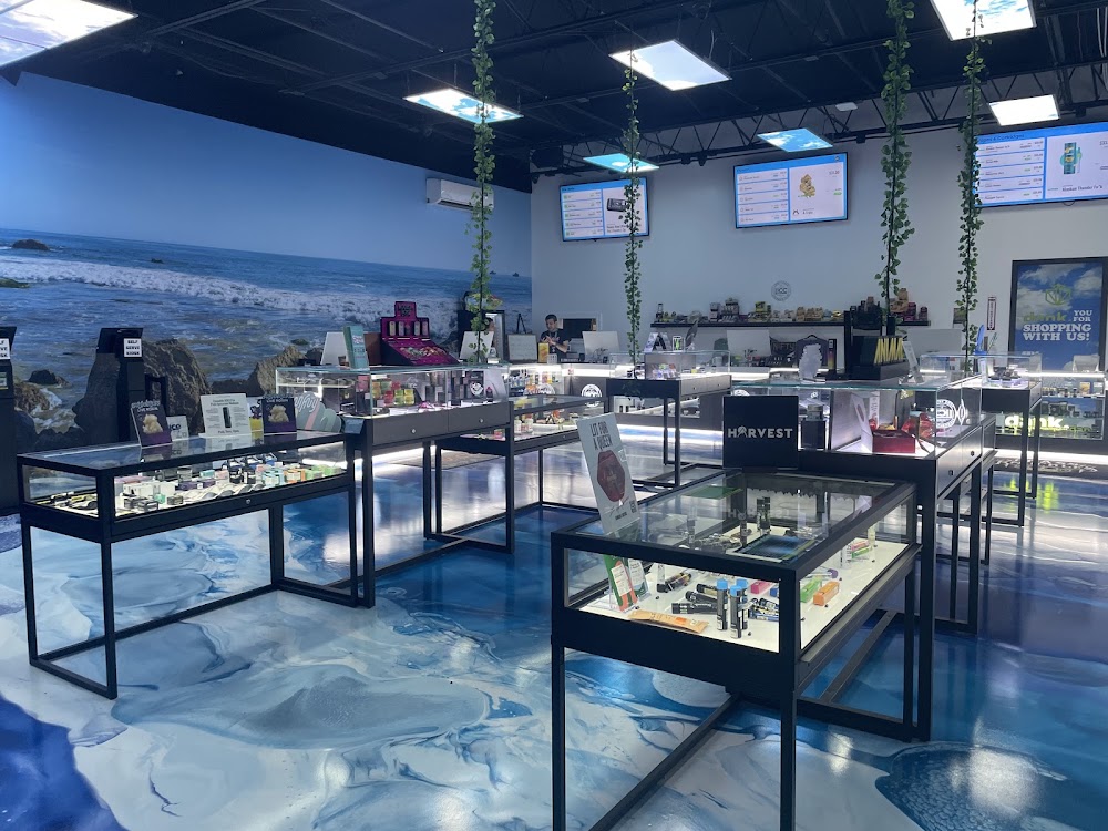 Long Island Cannabis Club photo 5