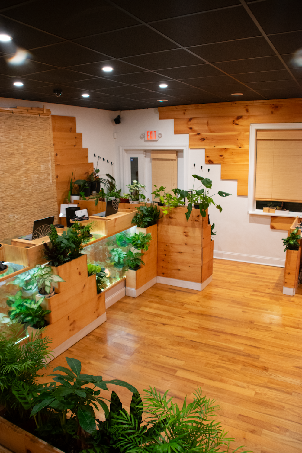 Lotusworks Wellness photo 2