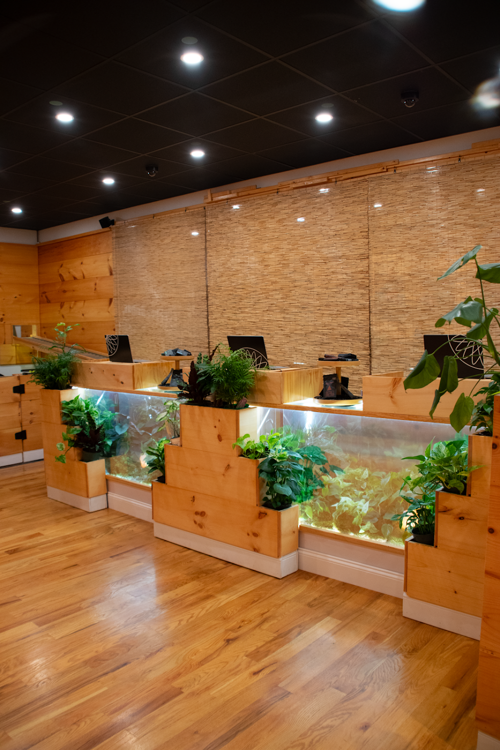 Lotusworks Wellness photo 4