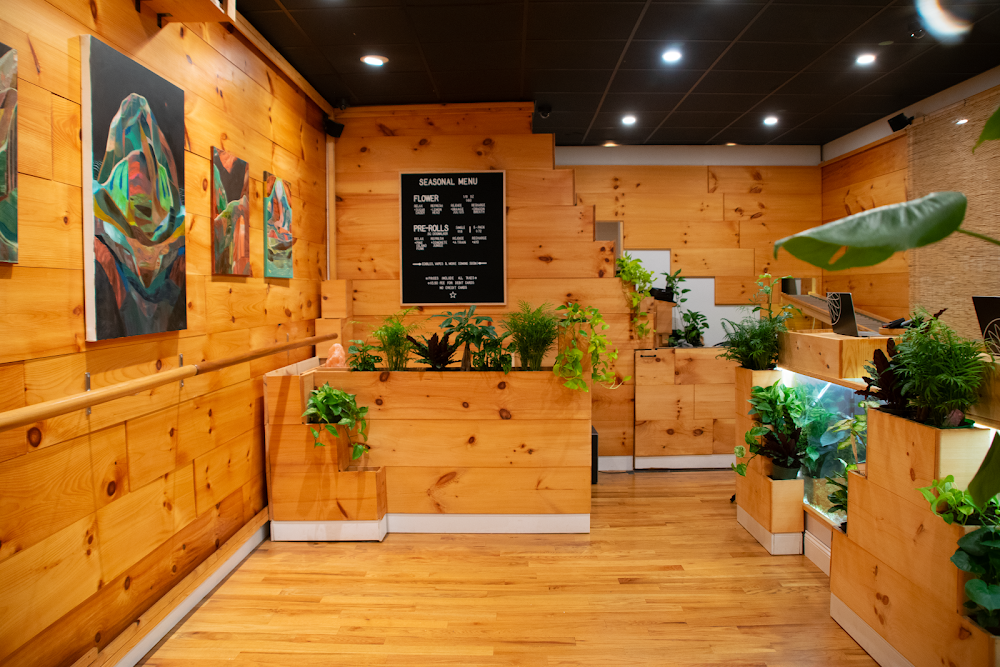 Lotusworks Wellness photo 6