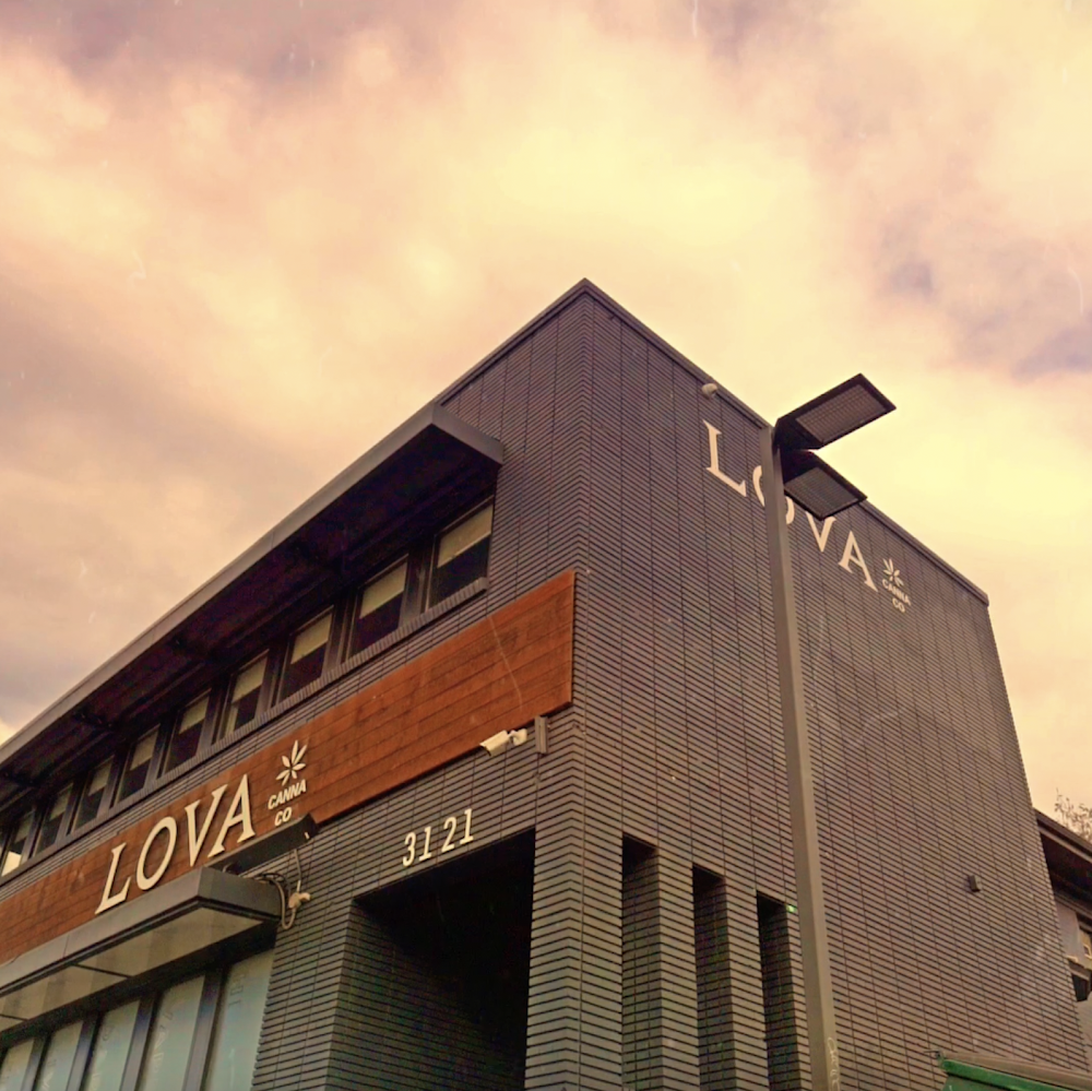 Lova Colfax photo 6