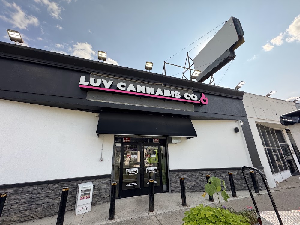 Love Cannabis photo 4