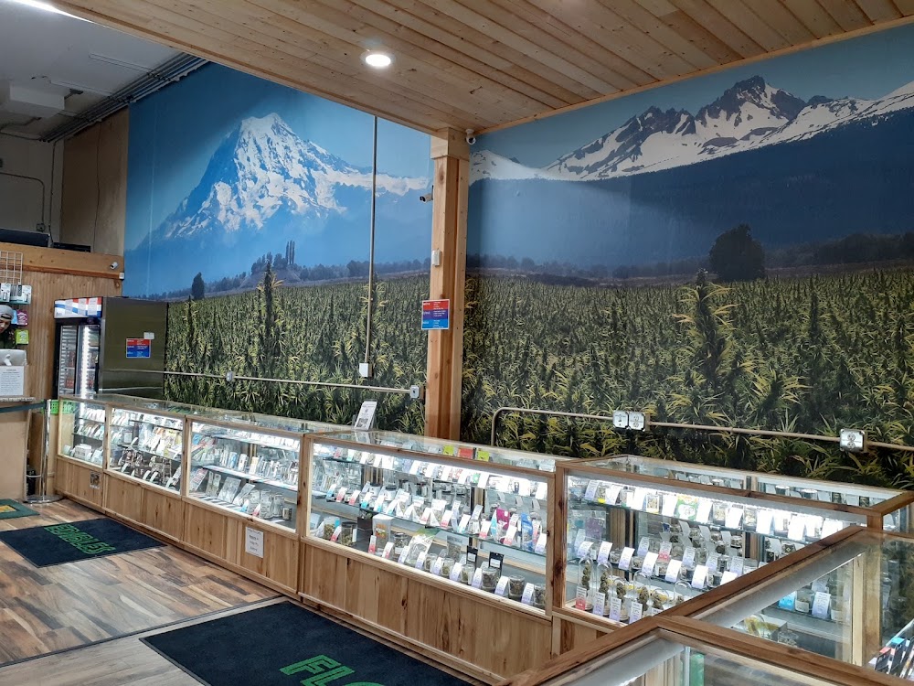 Lucid Auburn, 21+ Cannabis, 21+ Marijuana photo 5