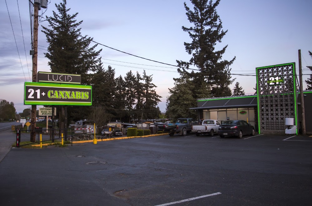 Lucid Puyallup photo 1