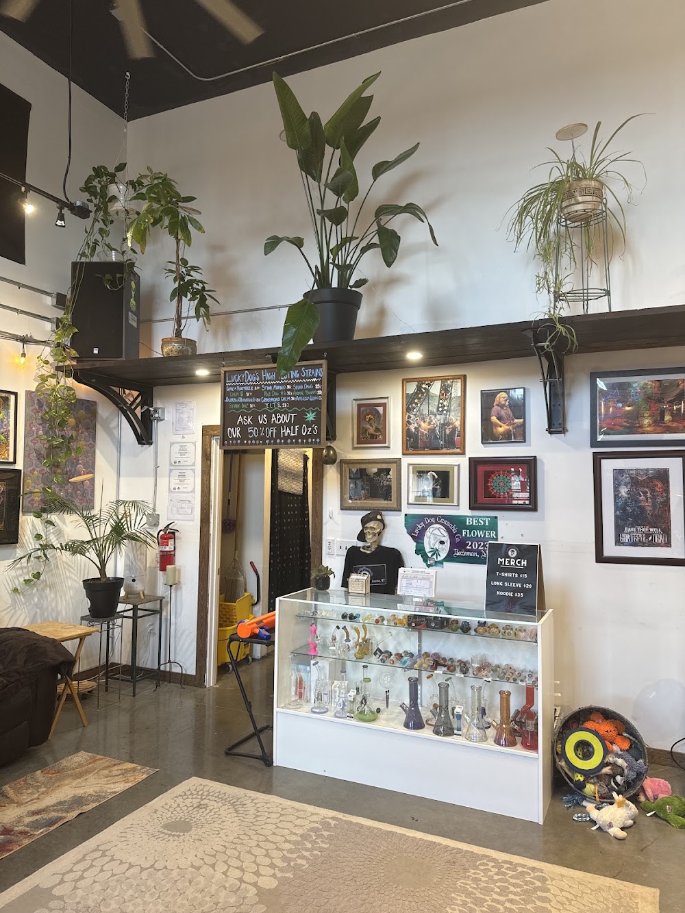 Lucky Dog Cannabis photo 8