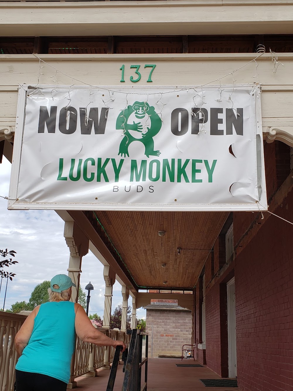 Lucky Monkey Buds photo 3