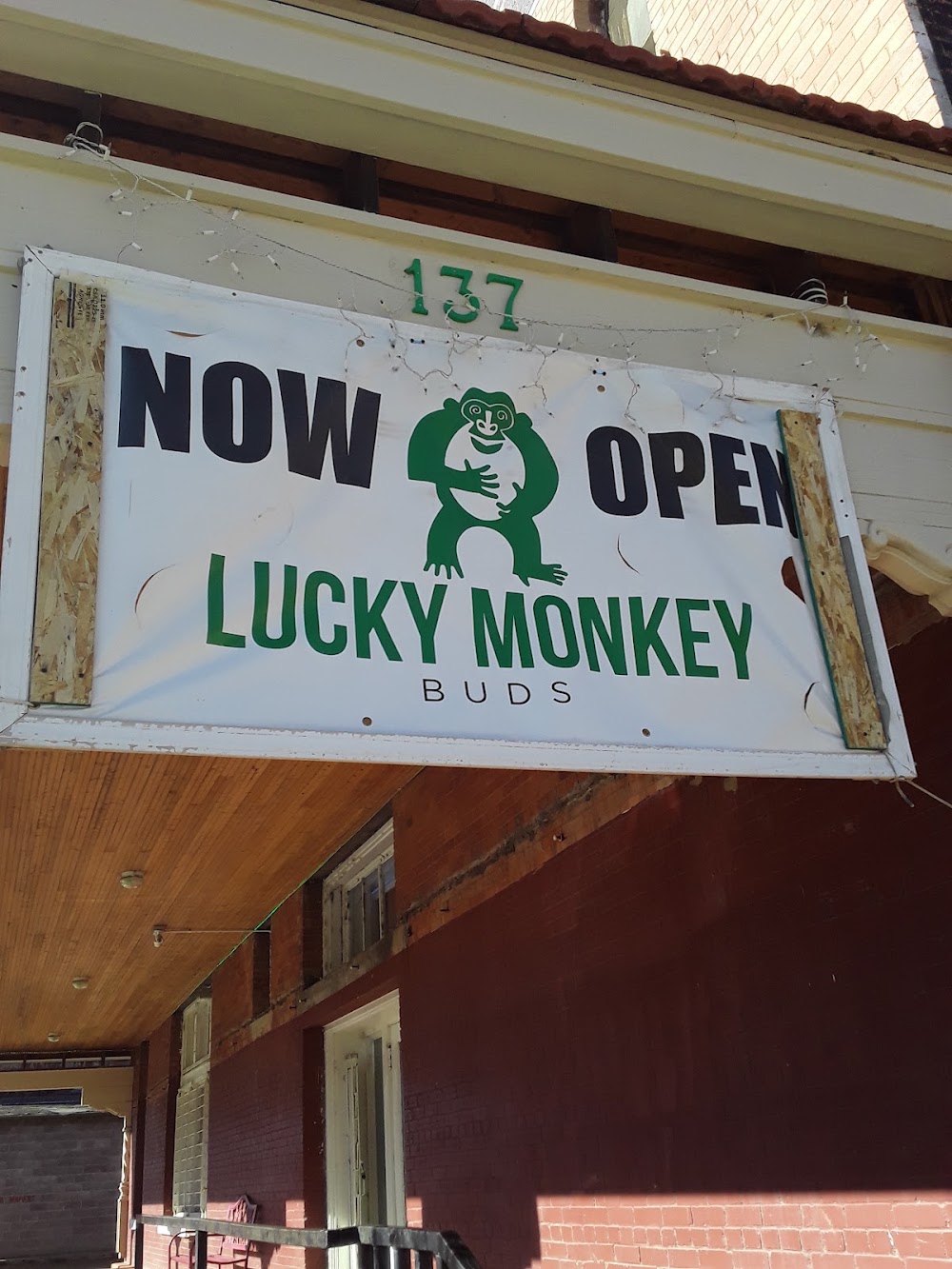 Lucky Monkey Buds photo 5
