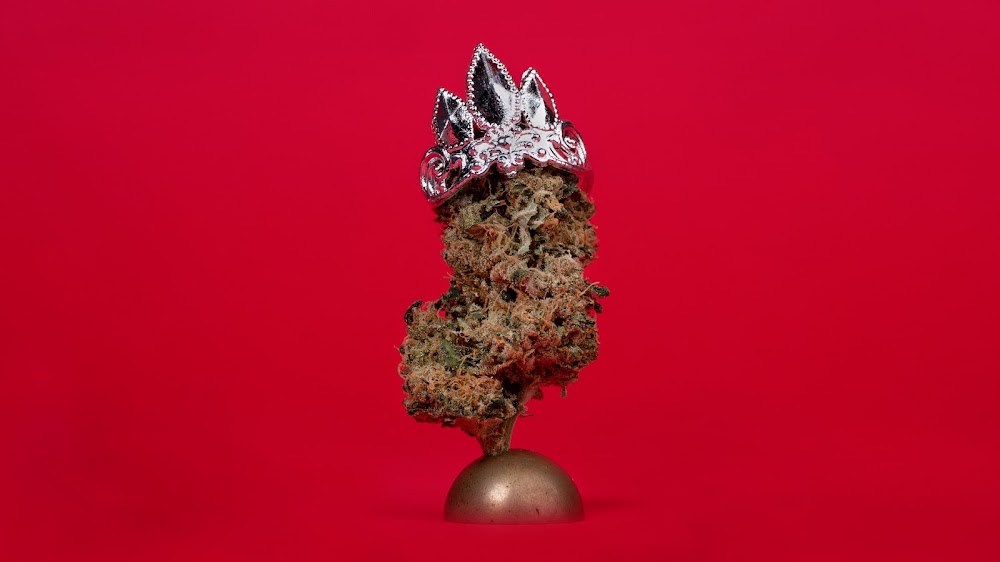 Lux Pot Shop photo 7