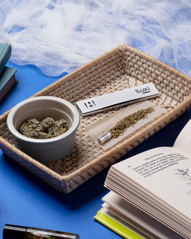 Lux Pot Shop photo 6