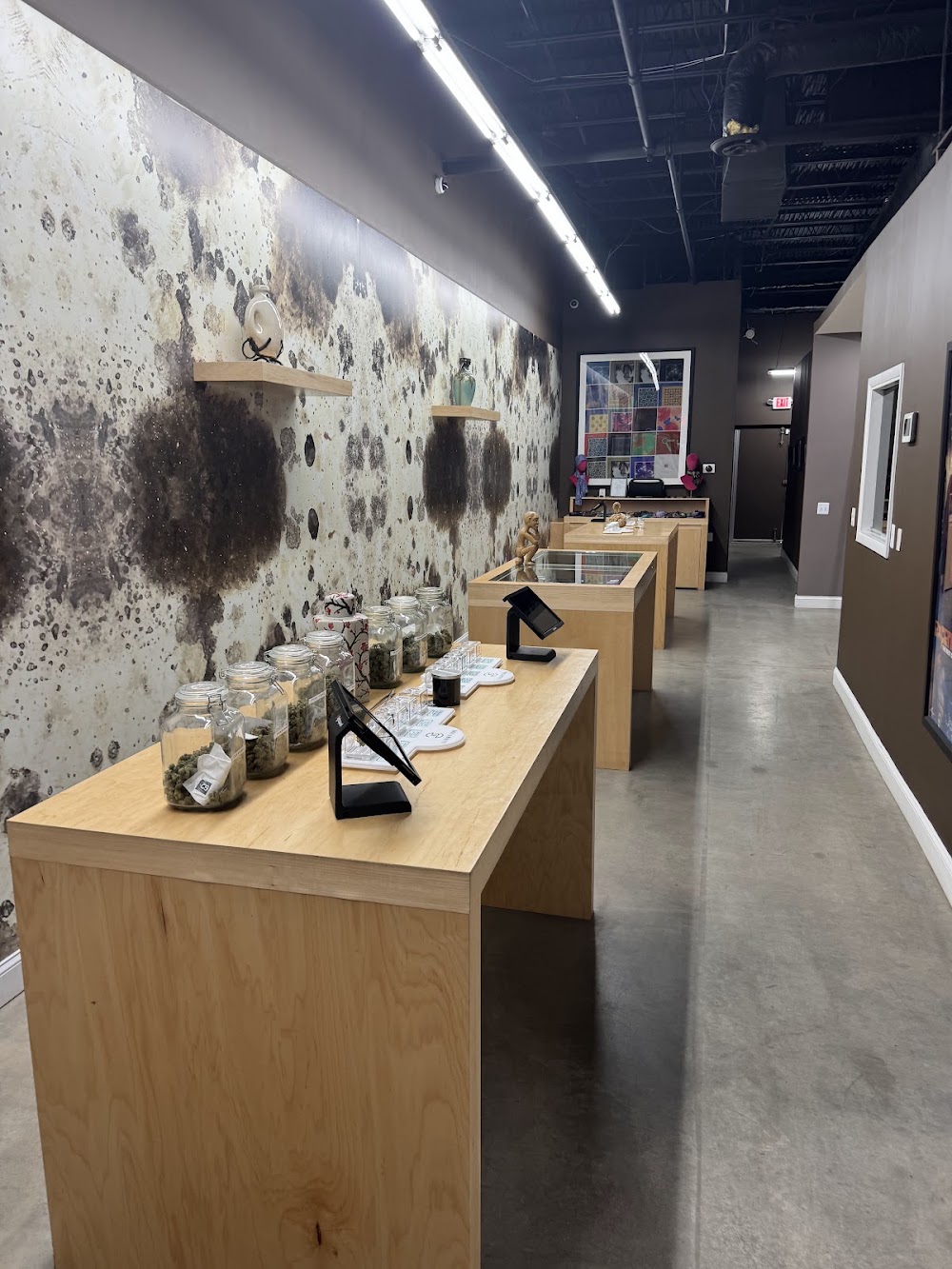 Luxury Soil photo 8