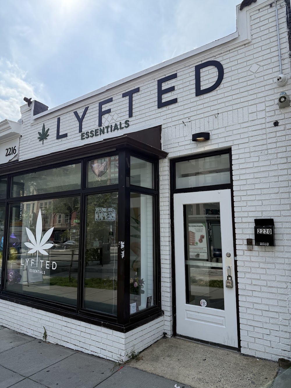 Lyfted Essentials photo 6