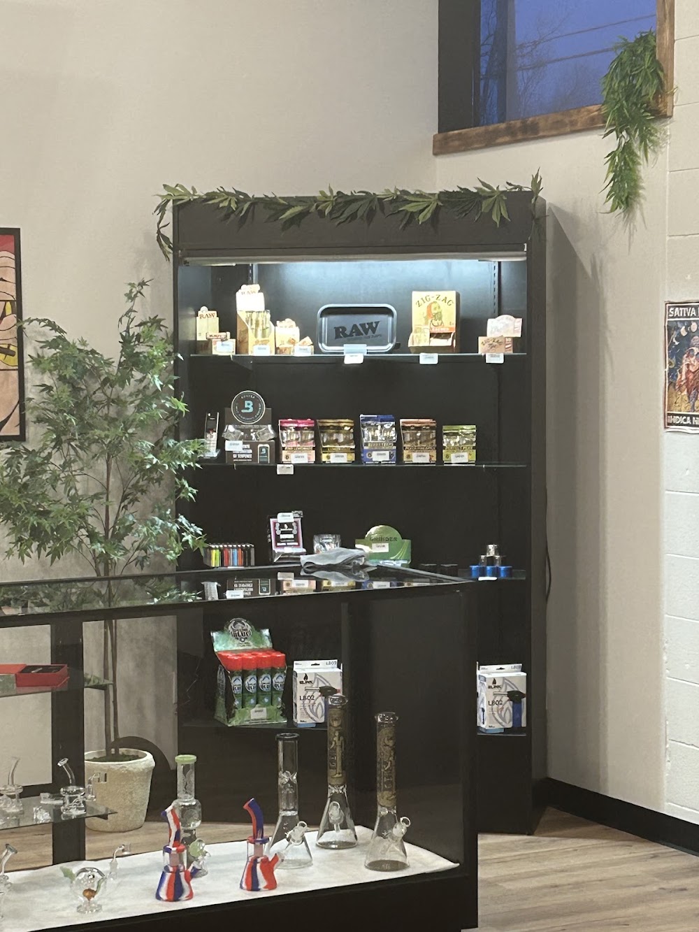 M66 Cannabis Company photo 2