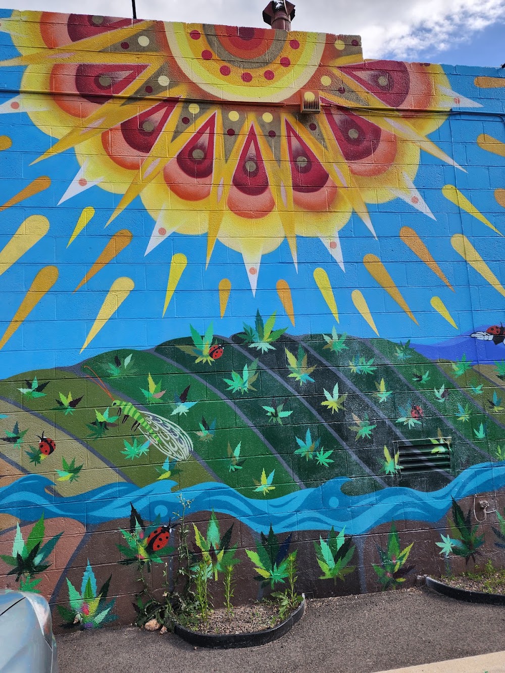Maggie's Farm photo 5