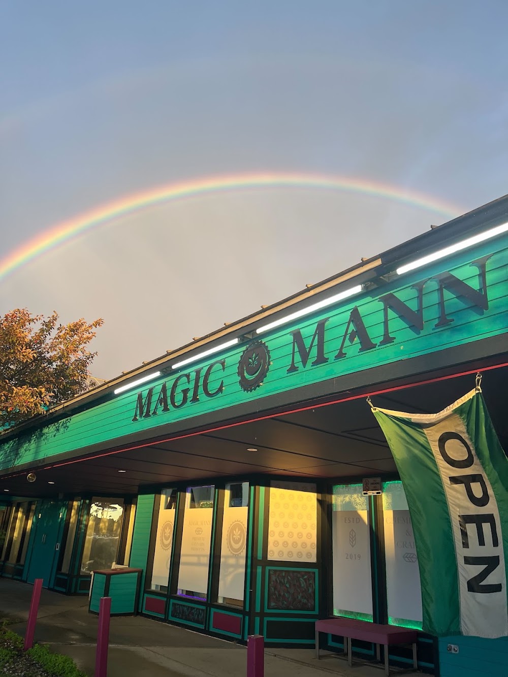 Magic Mann photo 6
