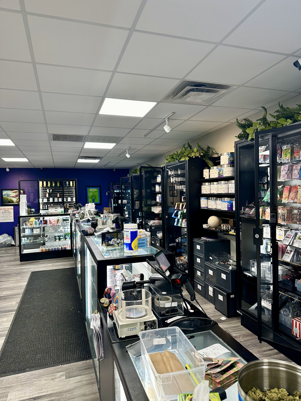 Magnolia Road Cannabis CO. photo 1