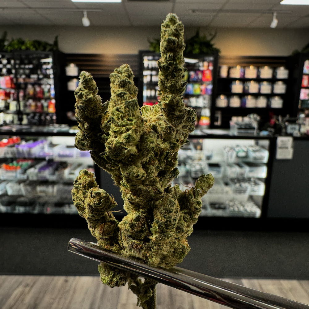 Magnolia Road Cannabis CO. photo 7