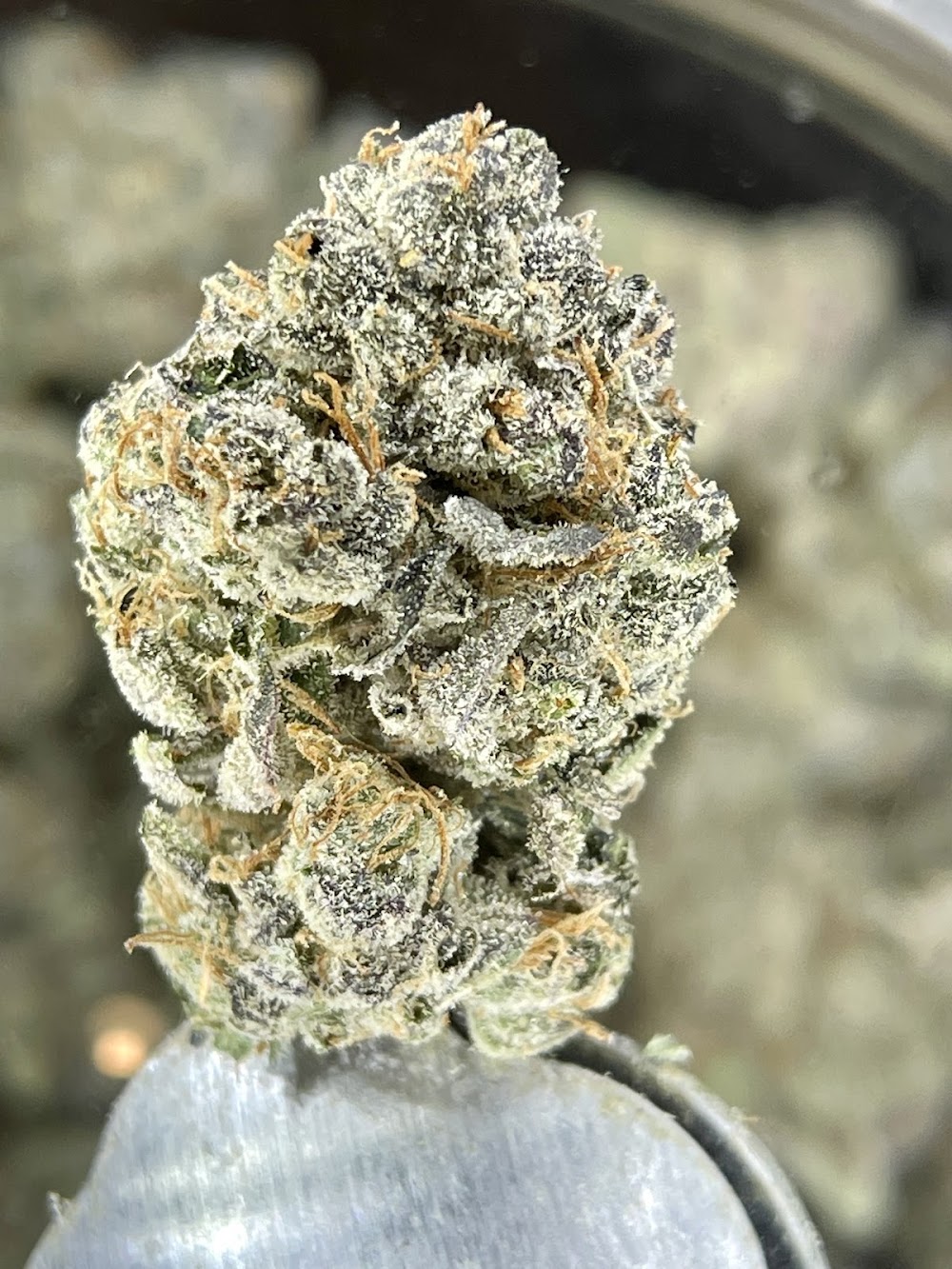 Main St. Meds - Jenks + Drive Thru photo 5