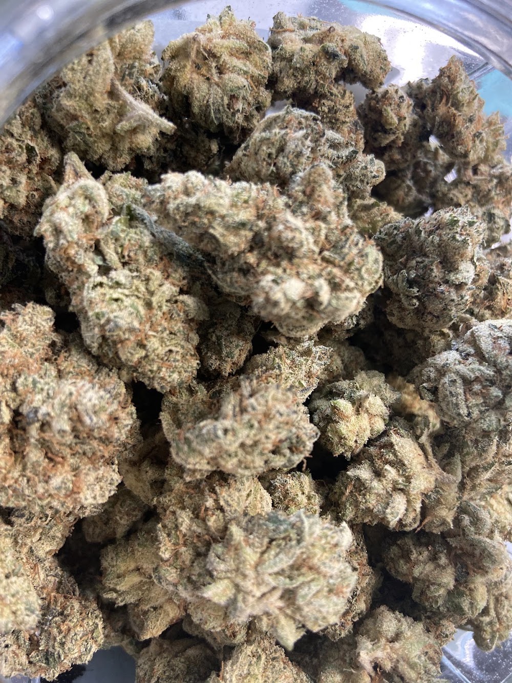 Main Street Cannabis photo 3