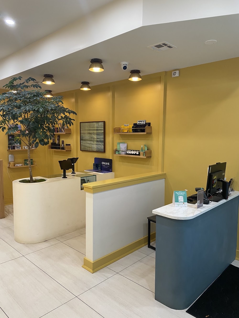 Main Street Dispensary photo 3