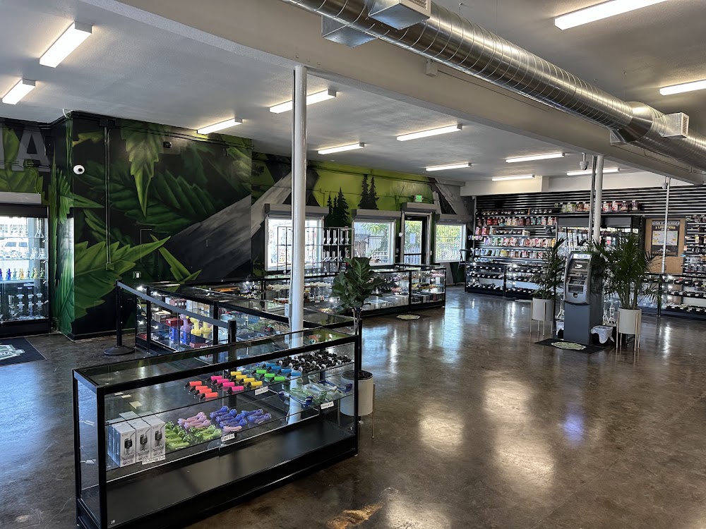 Main Street Marijuana North photo 8