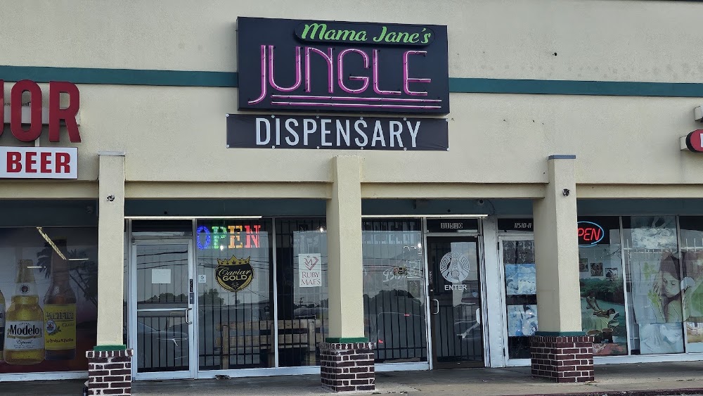 Mama Jane's Jungle Powered By Tulsa Treehouse photo 4