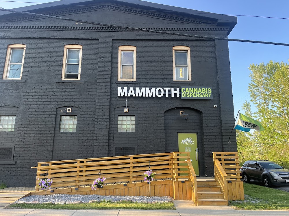 Mammoth Cannabis photo 4