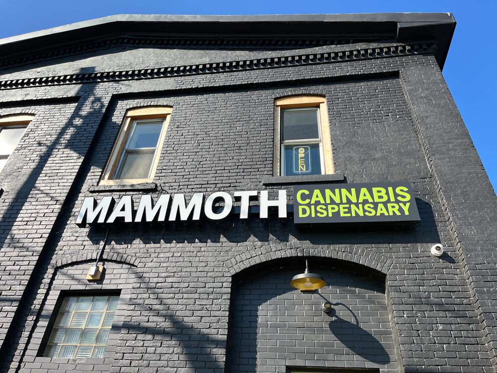 Mammoth Cannabis photo 8