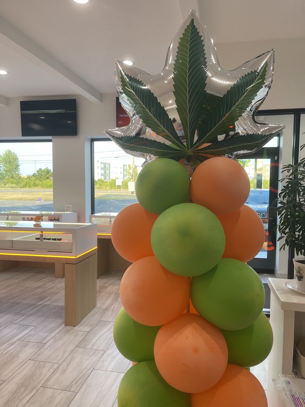 Mango Cannabis photo 7