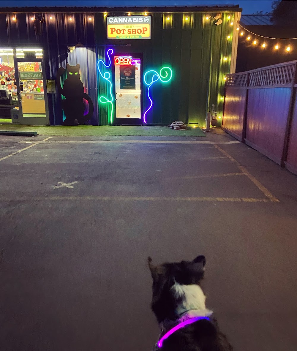 Margies's Pot Shop photo 8