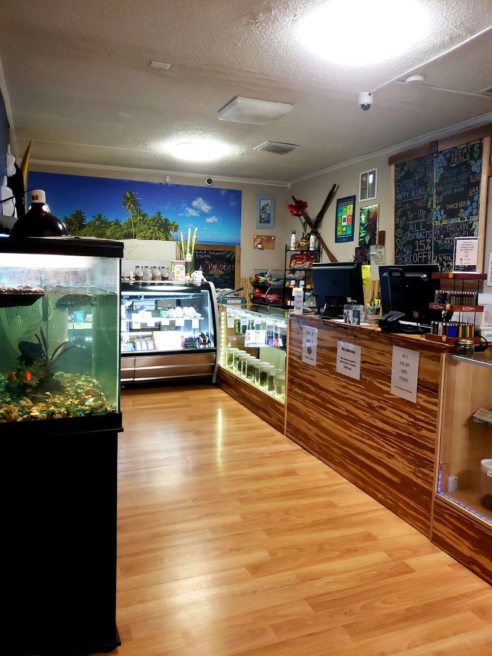 Marijuana Paradise photo 5